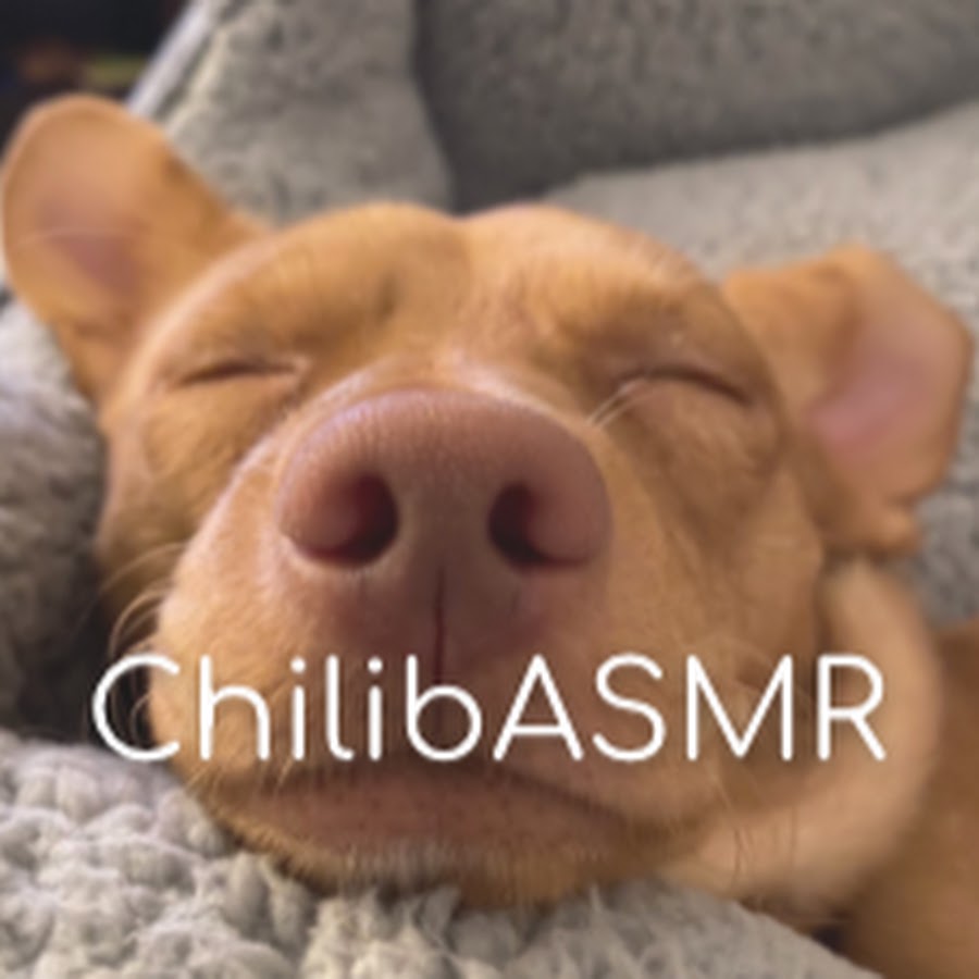 Chili b ASMR