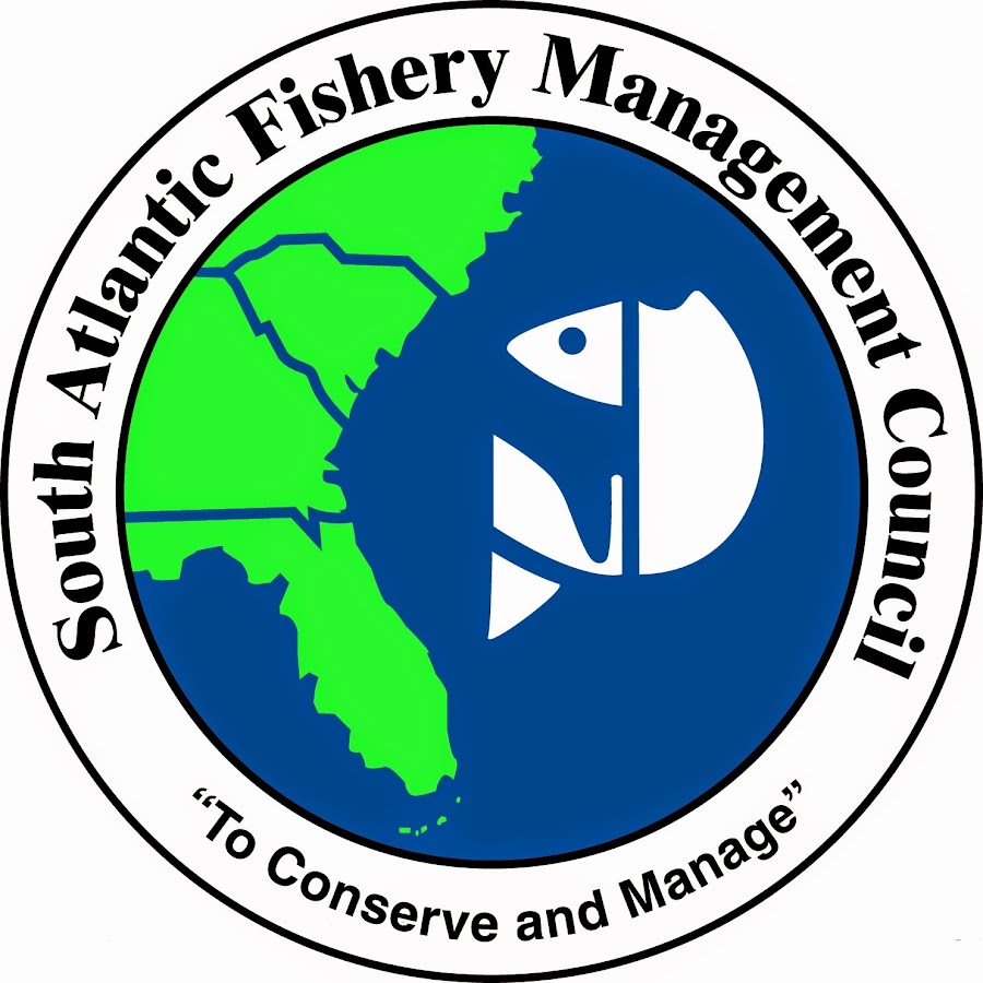 Grouper, Gag - South Atlantic Fishery Management Council