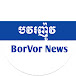 BorVor News