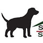 Smoky Mountain Service Dogs