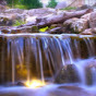 Paradise Ponds and Waterfalls