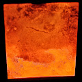 Artist Thumbnail