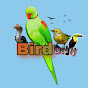 Birdlife Daily