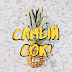 logo самый СОК