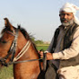 Nawaz Horse WaLa