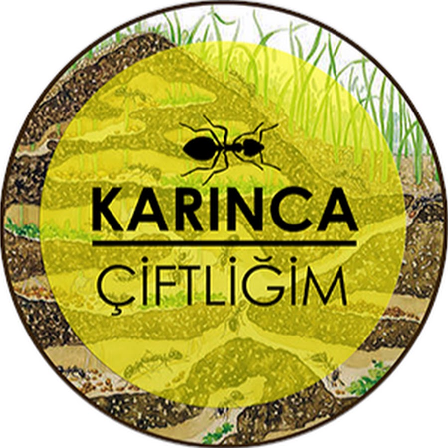 Karınca Çiftliğim @karincaciftligim