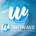 bigwave tn