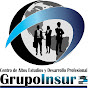 Grupo INSUR