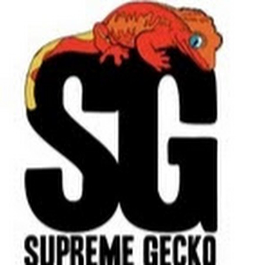 Supreme Gecko