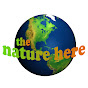 THE NATURE HERE TV SHOW