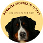 BERNESE MOUNTAIN DOGS and where to find them