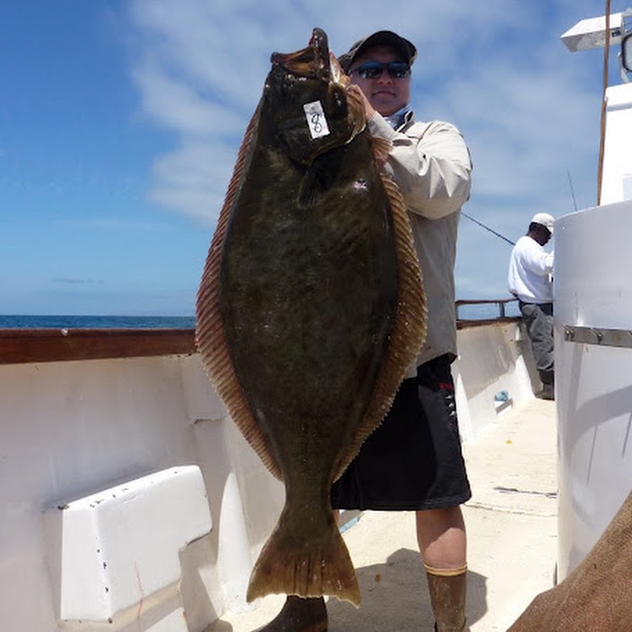 Red Rooster 3 - Rob's Yellowfin Tuna 113.8lb 1 of 2 Alijos Rocks