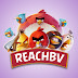 ReachBV