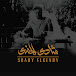 Shady EL-Gendy