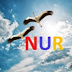 NUR