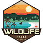 WildLife Ceará Oficial