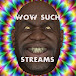 WSG Streams