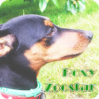 Roxy ZooStar