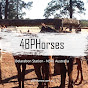4BP Horses