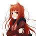 logo Holo NotWise