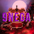 logo 9NeGaTV