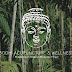 logo Bodhi Acupuncture & Wellness