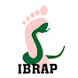 Curso IBRAP