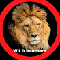 WILD Panthera