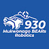 logo Team 930