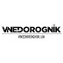 logo Vnedorognik