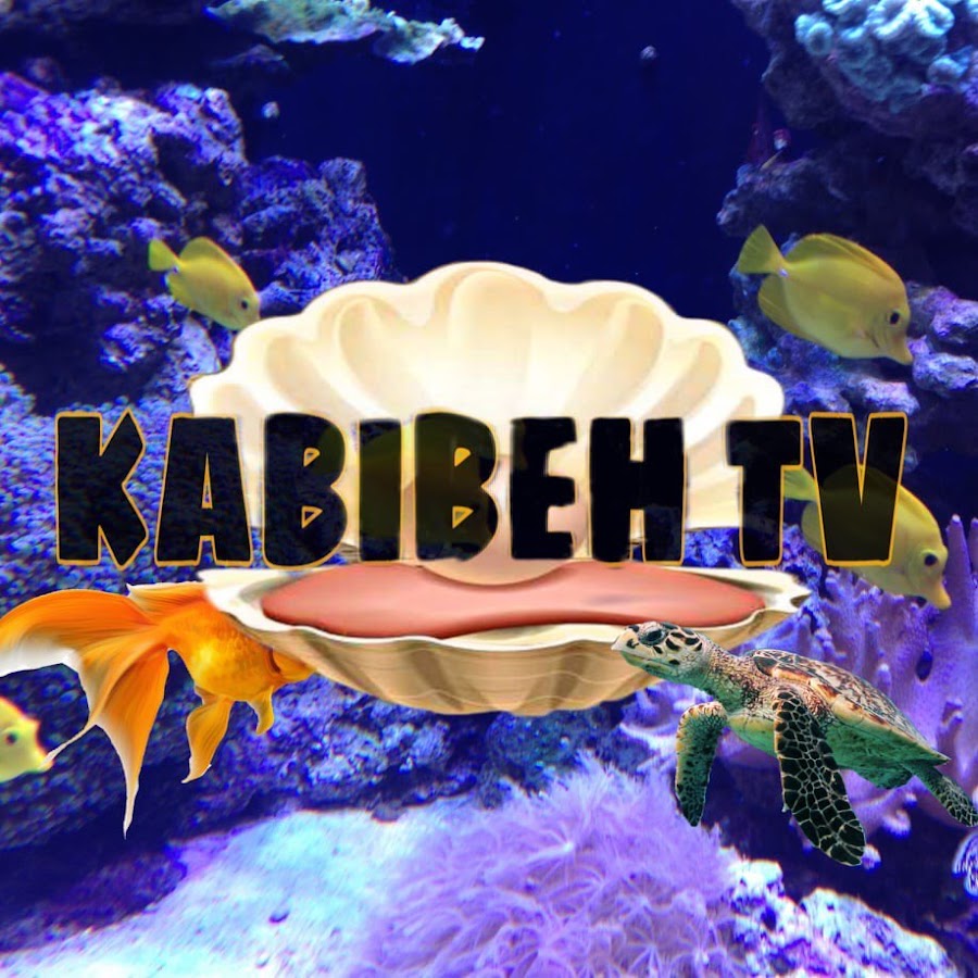 Kabibeh TV