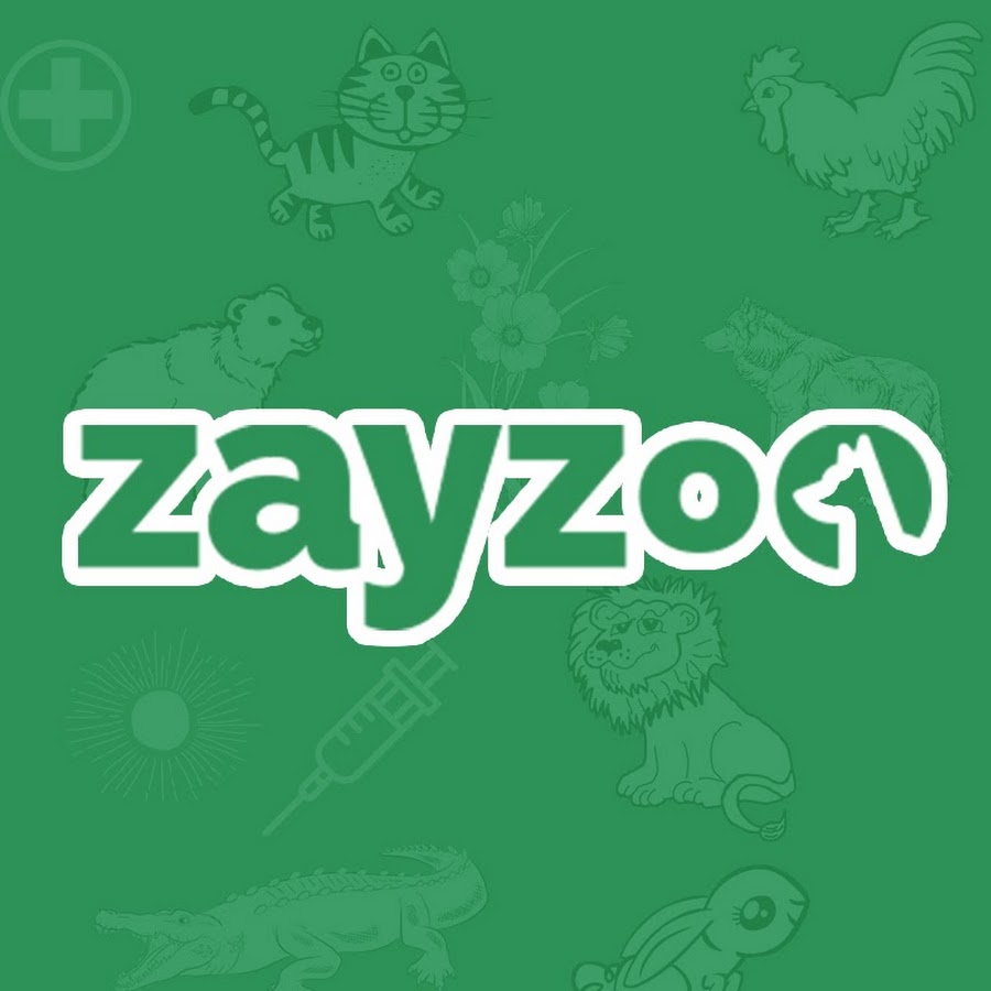 Zayzoo