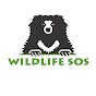 Wildlife SOS