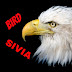 logo Birdsivia