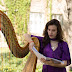 logo Angie Plays Harp