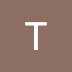 logo Tim Paulson