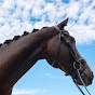 Chestnut Creek Farm