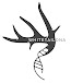 WhitetailDNA