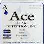 Ace Leak Detection