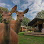 Recreatie- en Hertenboerderij De Weerd Nijbroek