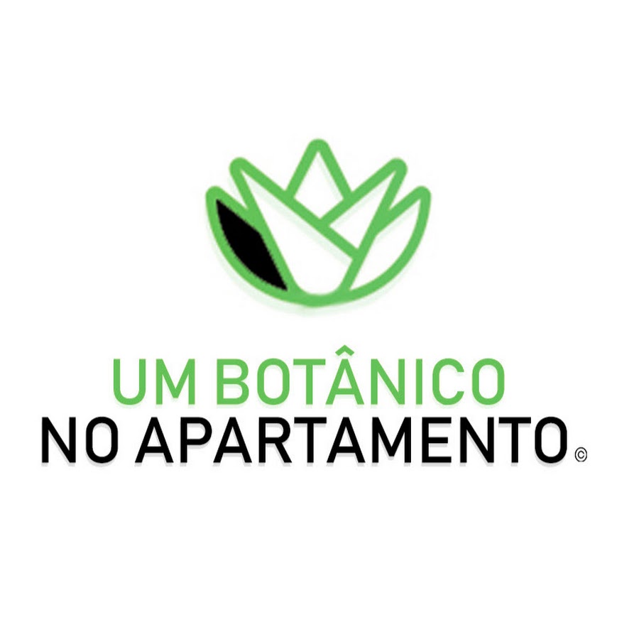 UM BOTÂNICO NO APARTAMENTO