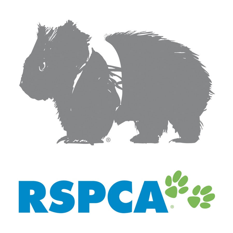 RSPCAAustralia YouTube