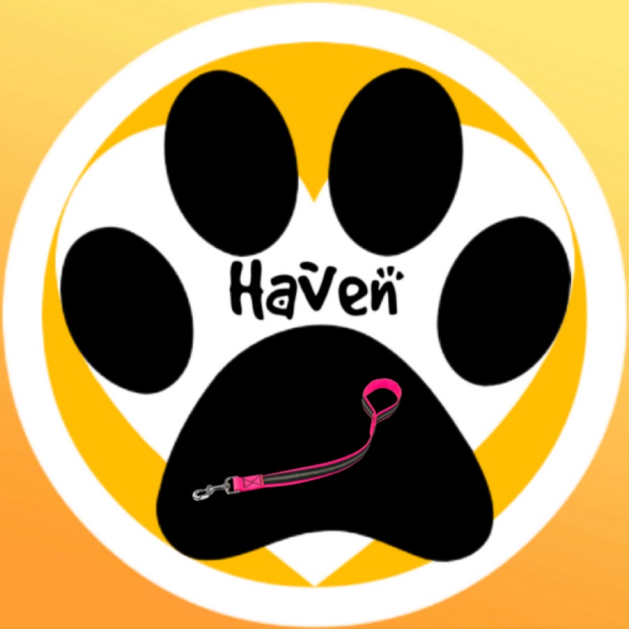 Dogs Haven