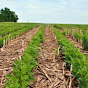 Ohio TNC Agriculture