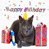 logo birthdayvideos4u