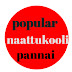 Popular naattukoli pannai