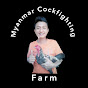 Myanmar Cockfighting Farm