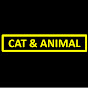 CAT & ANIMAL