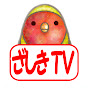 zashiki TV