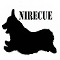 Nirecue